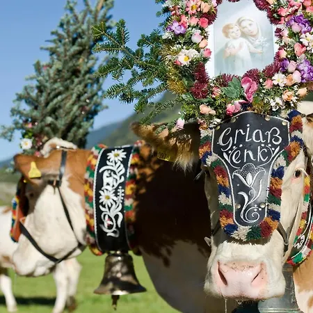 Der Siegeler - Lifestylehotel Rocks 3*