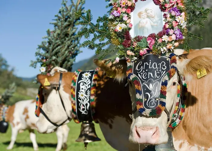 Der Siegeler - Lifestylehotel Rocks 3*